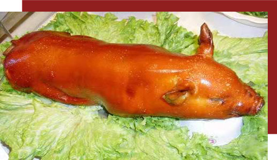 公司簡介